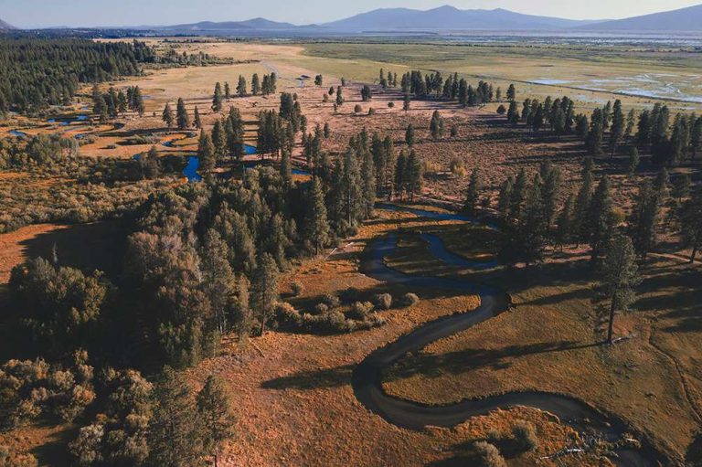 A winding creek through brown grass and trees